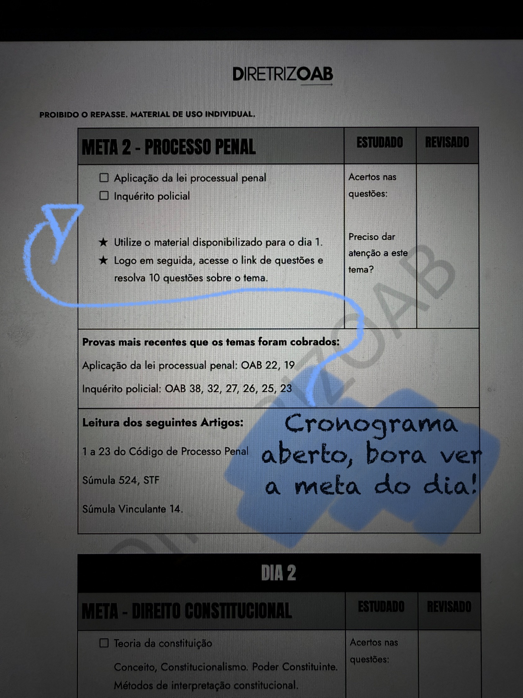 ACESSO AS METAS DIÁRIAS - DETALHADAS DO QUE VOCÊ DEVE ESTUDAR NO DIA